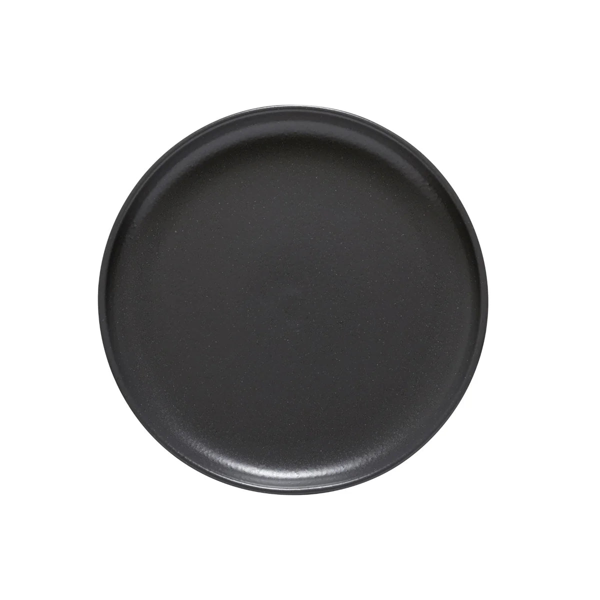 CASAFINA PACIFICA DINNER PLATE SEED GRAY