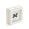 Butterfly Shadow Box 4" - Black Gold