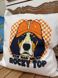 SQUARE PILLOW  UNIVERSITY OF TN ROCKY TOP SMOKEY