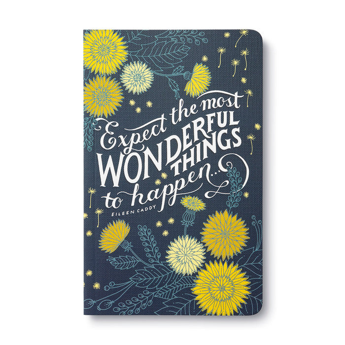 WRITE NOW: WONDERFUL THINGS