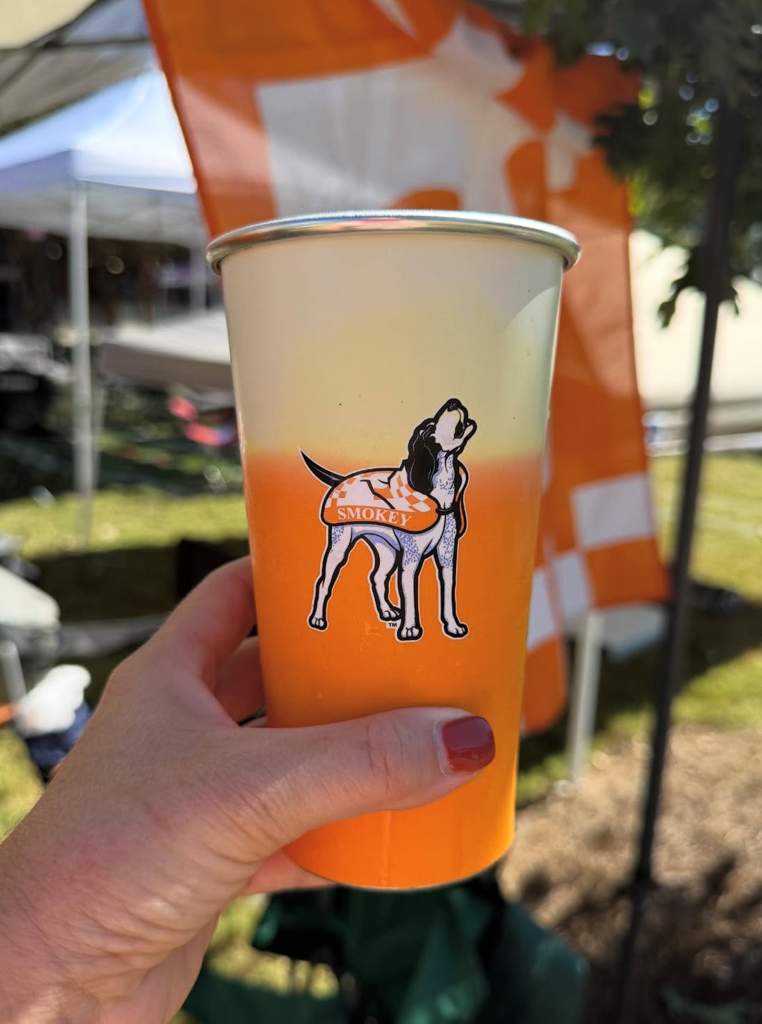 Aluminum Color Changing Cup (20 oz) - Uni of Tennessee