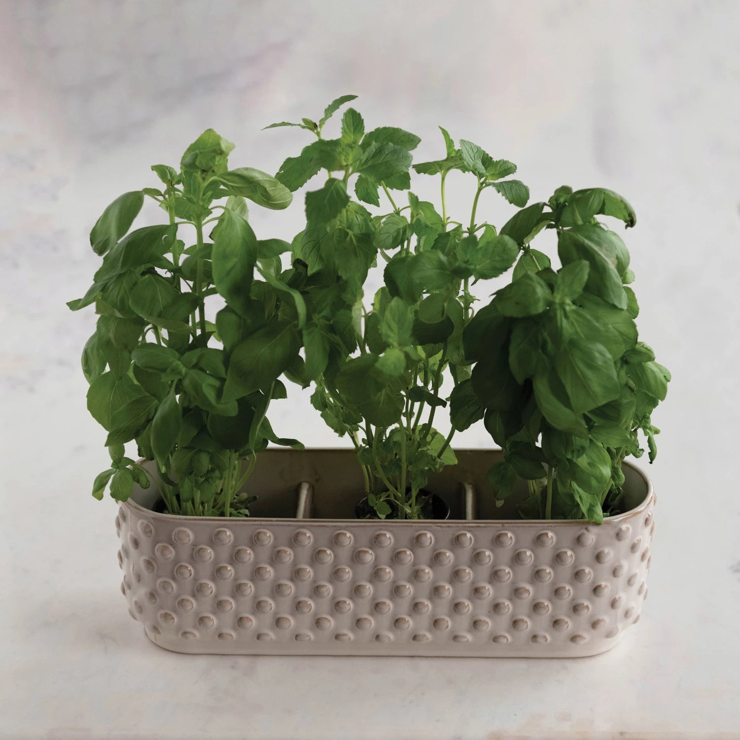 Hobnail Planter